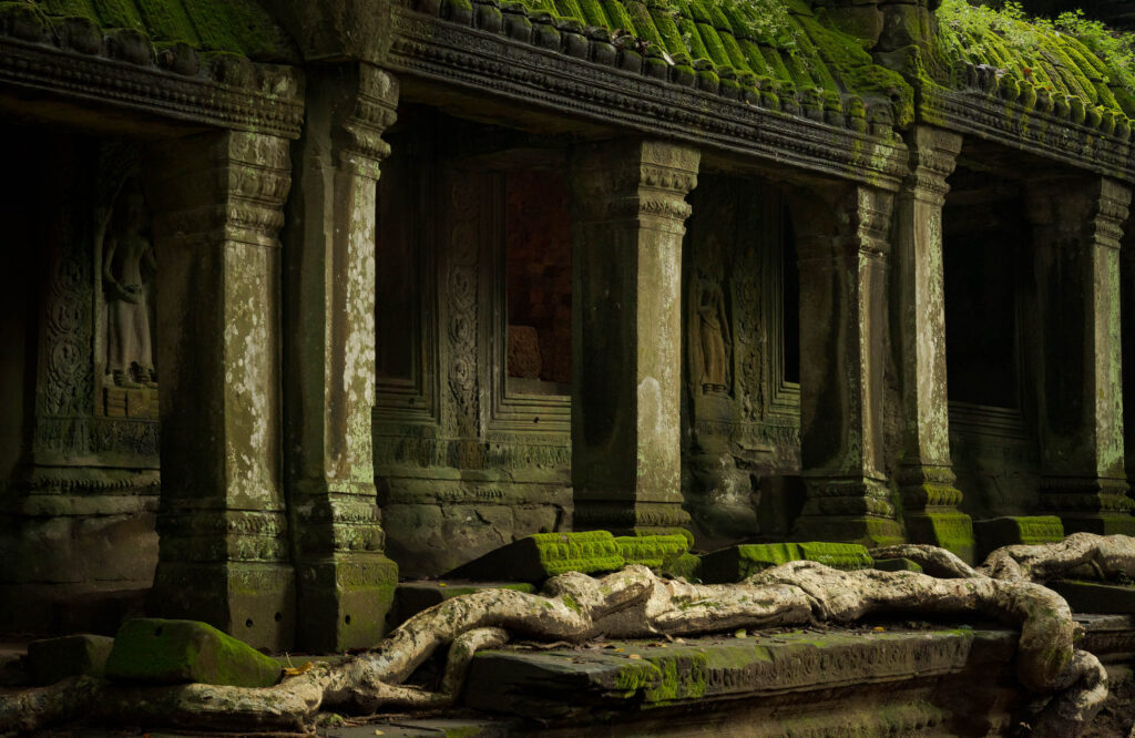 Ta Prohm Temple