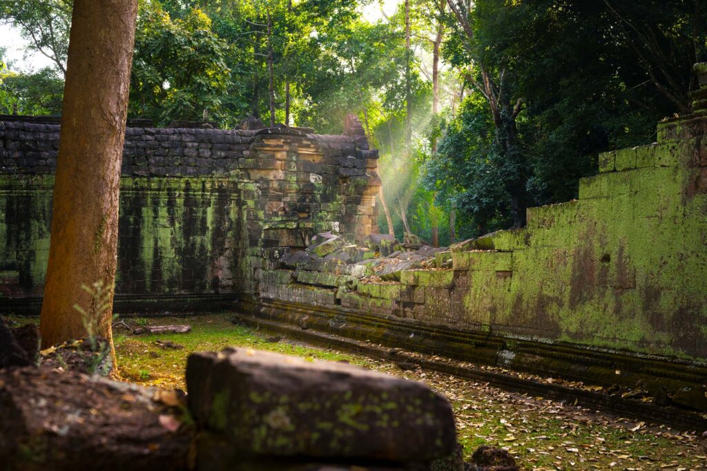Sunlight filtering through the jungle onto ancient ruins at Ta Prohm temple