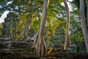 Ta prohm temple