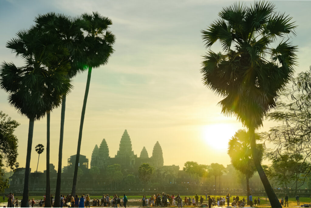 Angkor Wat at sunrise from the northern reflecting pond, framed by palm trees and viewed from behind the main crowd.