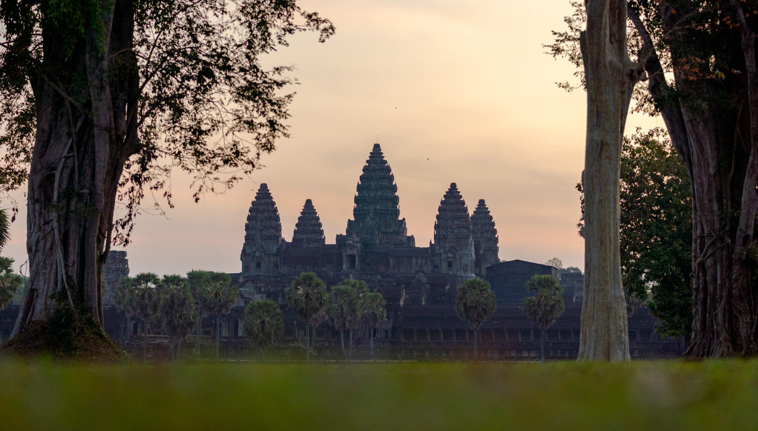 Angkor Wat temple towers silhouetted against early morning sky viewed from ground level through trees