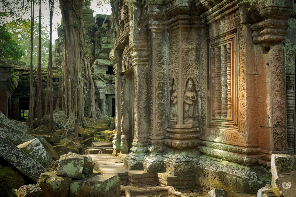 Ancient stone carvings and jungle vegetation at Ta Prohm temple