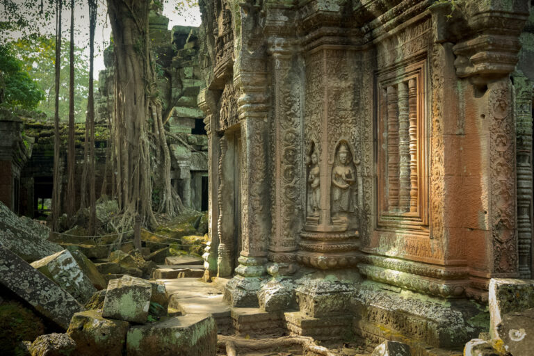 Ancient stone carvings and jungle vegetation at Ta Prohm temple