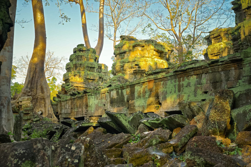 Ancient towers and jungle ruins inside Ta Prohm temple