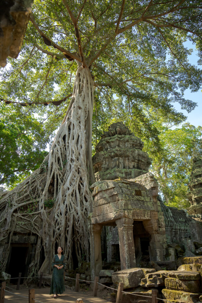 Giant tree roots growing over an ancient stone doorway at Ta Prohm temple