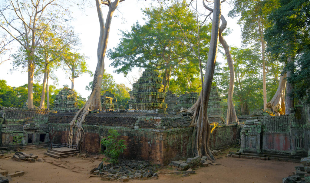 Ta Prohm temple in the jungle