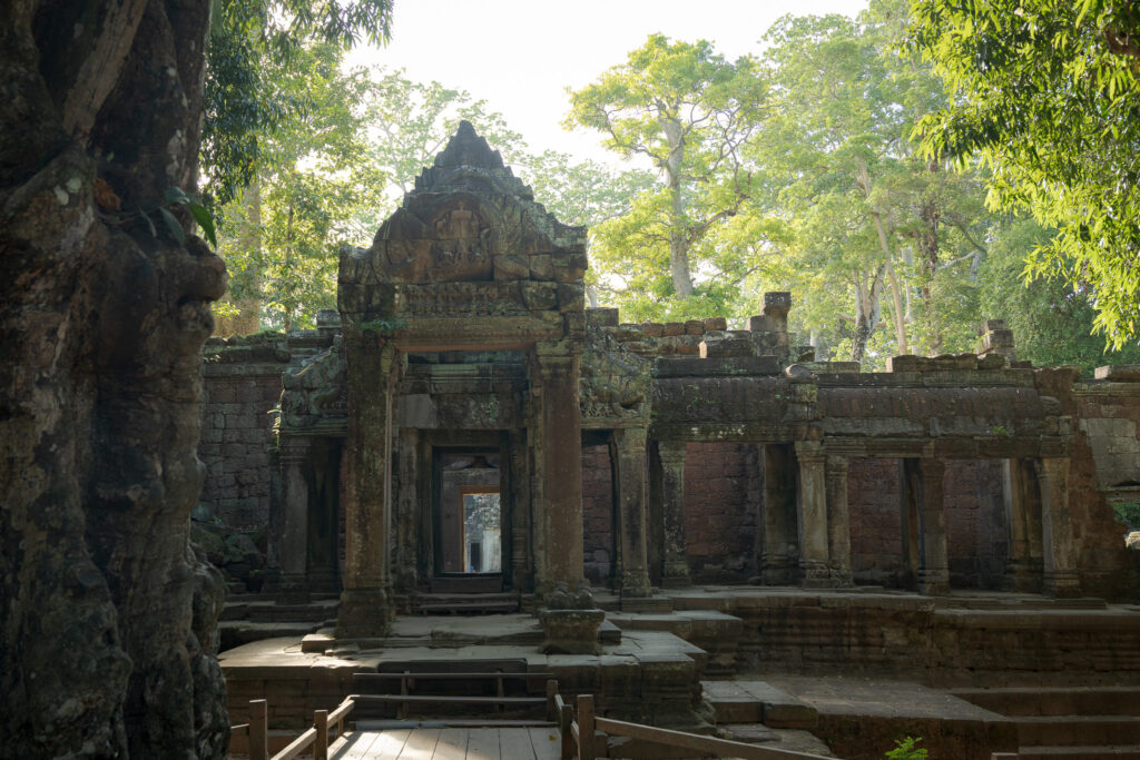 Ta Prohm western entrance, backlit by the morning sun