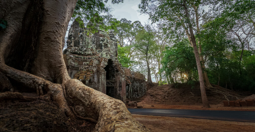 Victory Gate at Angkor Thom surrounded by forest, with large tree roots in the foreground and a carved stone face above the entrance.