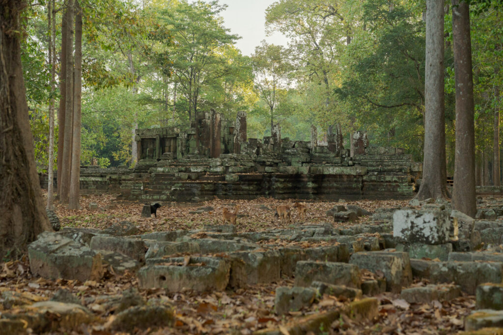 Weathered sandstone ruins within the Baphuon Temple complex