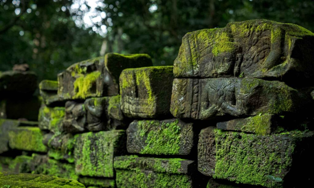 Moss-covered sandstone blocks beside Preah Palilay temple during Angkor's green season