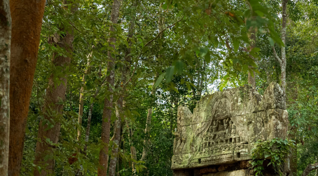 Ta Nei temple surrounded by dense forest in Angkor Archaeological Park