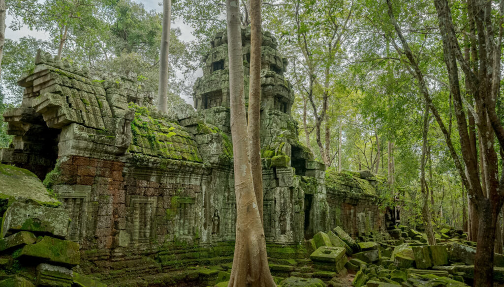 Ta Nei Temple, Siem Reap, Cambodia