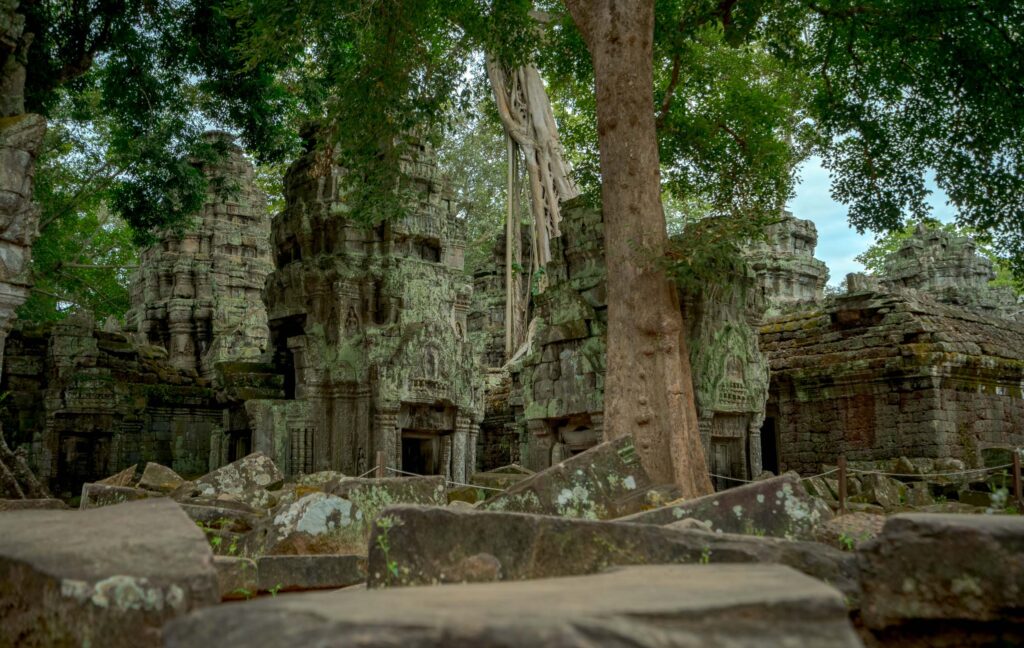Ta Prohm covered in jungle